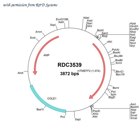 R&D Systems RDC3539 image 1
