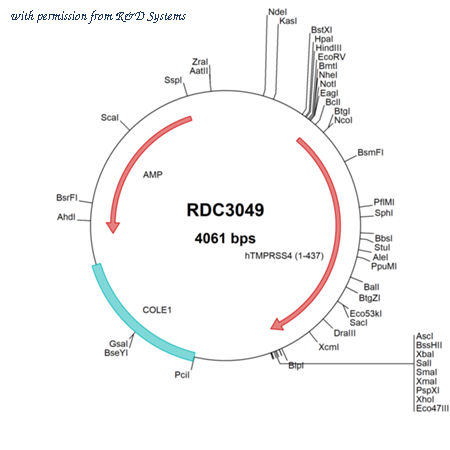 R&D Systems RDC3049 image 1