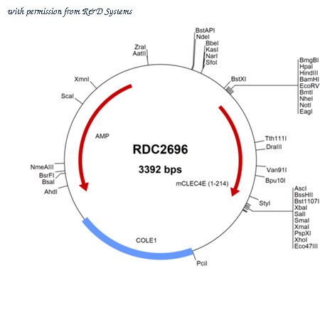 R&D Systems RDC2696 image 1