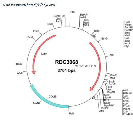 R&D Systems RDC3068 image 1