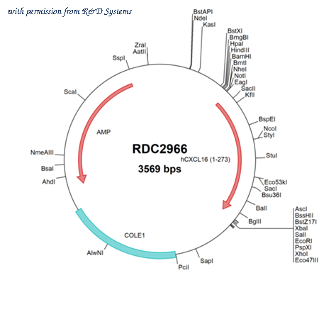 R&D Systems RDC2966 image 1