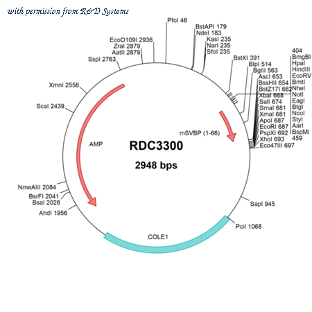 R&D Systems RDC3300 image 1