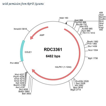 R&D Systems RDC3361 image 1