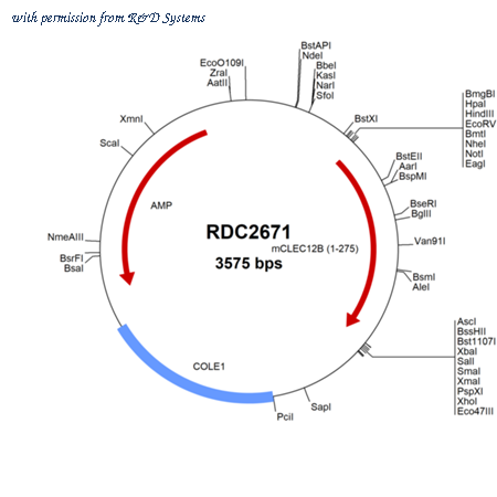 R&D Systems RDC2671 image 1
