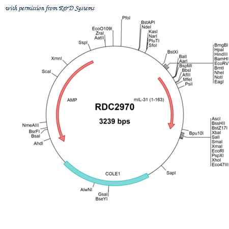R&D Systems RDC2970 image 1