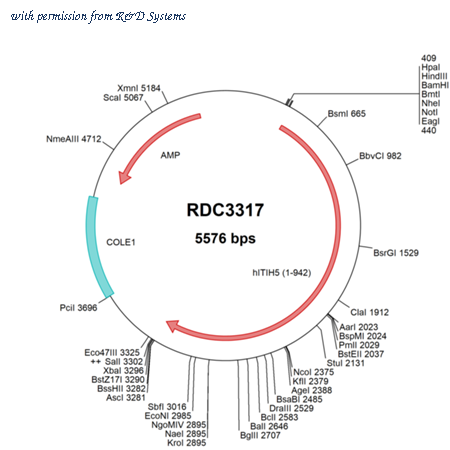 R&D Systems RDC3317 image 1