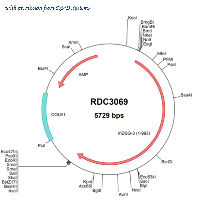 R&D Systems RDC3069 image 1