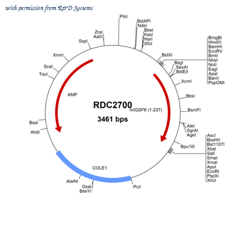 R&D Systems RDC2700 image 1