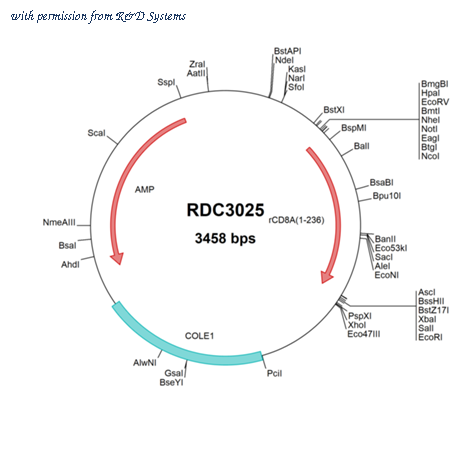 R&D Systems RDC3025 image 1