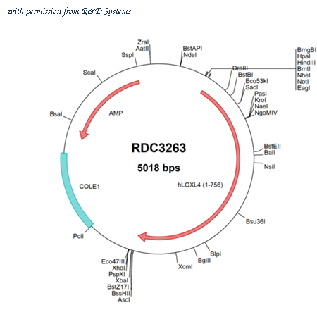 R&D Systems RDC3263 image 1