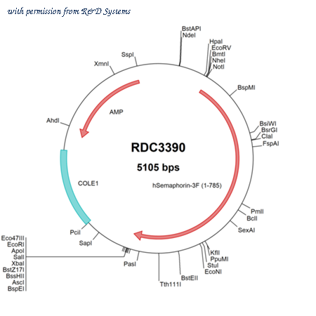 R&D Systems RDC3390 image 1