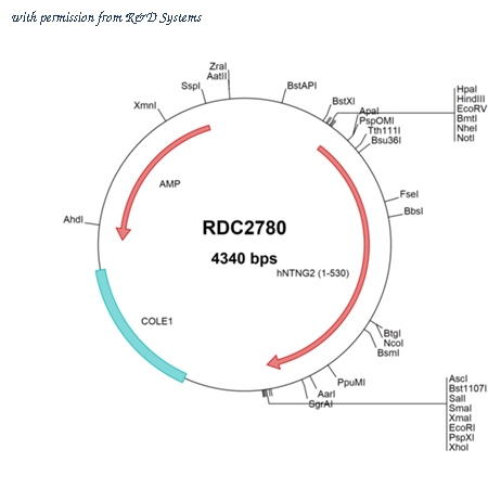R&D Systems RDC2780 image 1