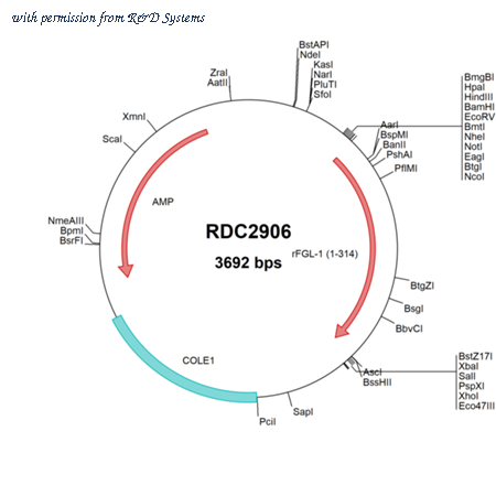 R&D Systems RDC2906 image 1