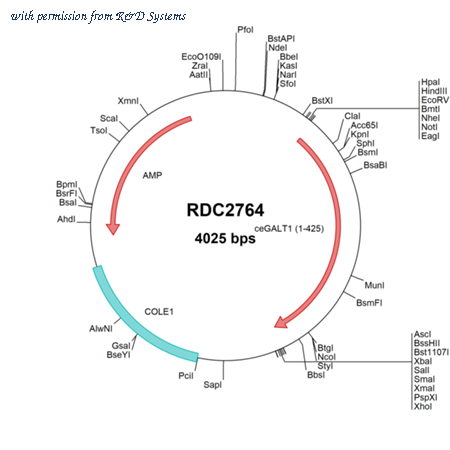 R&D Systems RDC2764 image 1