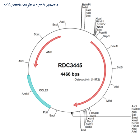 R&D Systems RDC3445 image 1