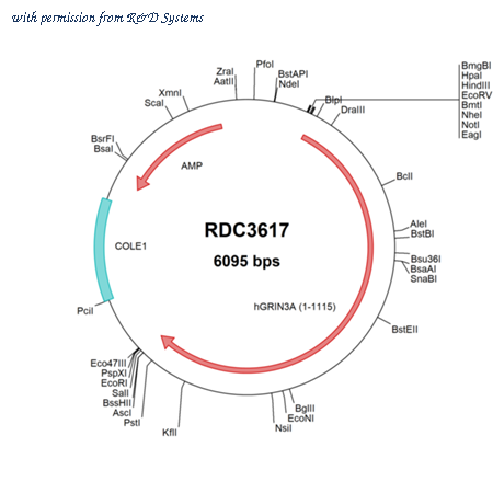 R&D Systems RDC3617 image 1