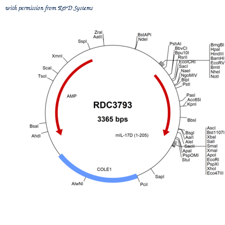 R&D Systems RDC3793 image 1