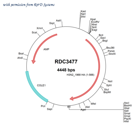 R&D Systems RDC3477 image 1