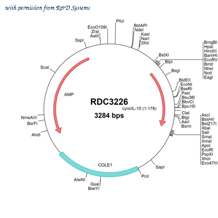 R&D Systems RDC3226 image 1