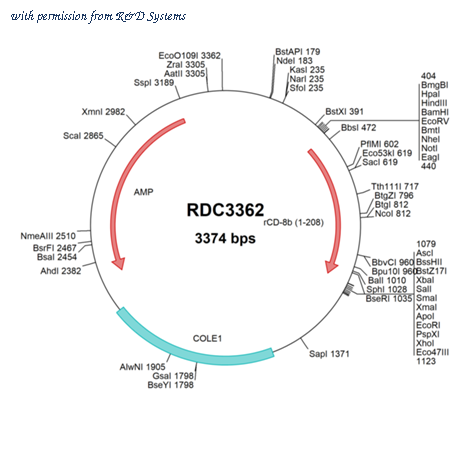 R&D Systems RDC3362 image 1