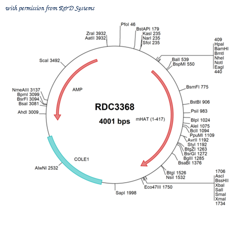 R&D Systems RDC3368 image 1