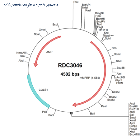 R&D Systems RDC3046 image 1