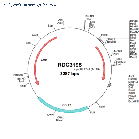 R&D Systems RDC3195 image 1