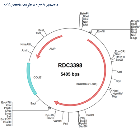 R&D Systems RDC3398 image 1