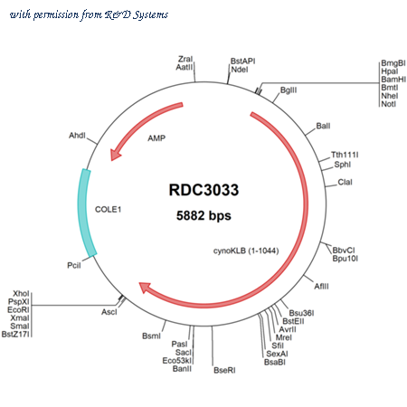 R&D Systems RDC3033 image 1