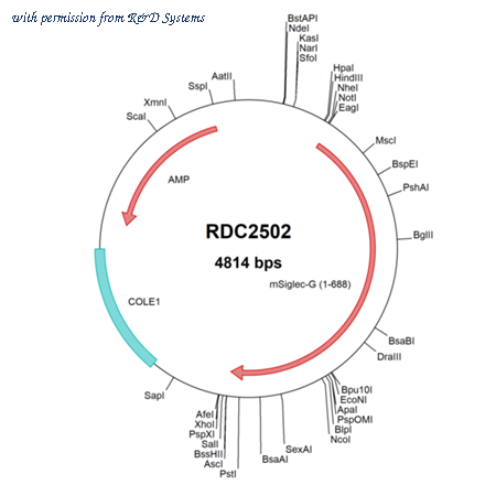 R&D Systems RDC2502 image 1