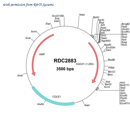R&D Systems RDC2883 image 1