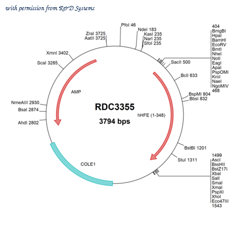R&D Systems RDC3355 image 1