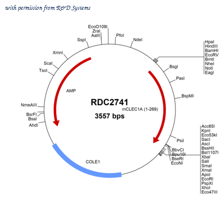 R&D Systems RDC2741 image 1
