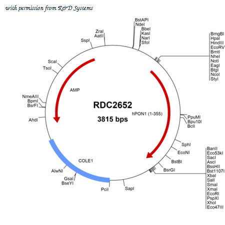 R&D Systems RDC2652 image 1