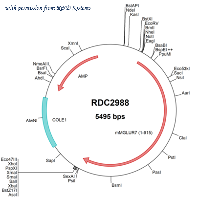 R&D Systems RDC2988 image 1
