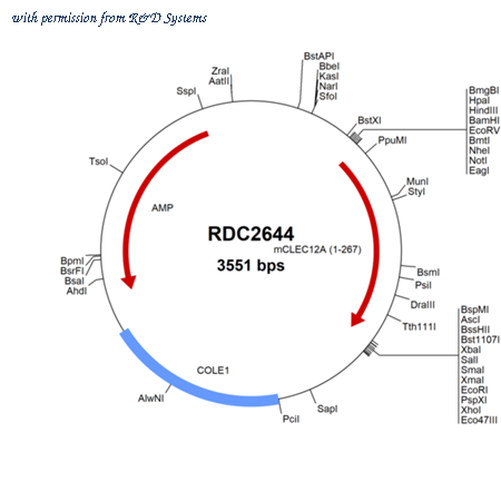 R&D Systems RDC2644 image 1