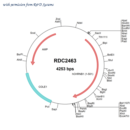 R&D Systems RDC2463 image 1