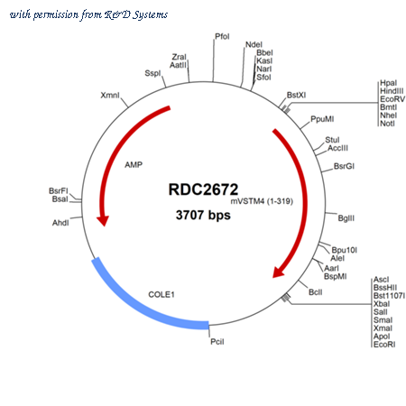 R&D Systems RDC2672 image 1