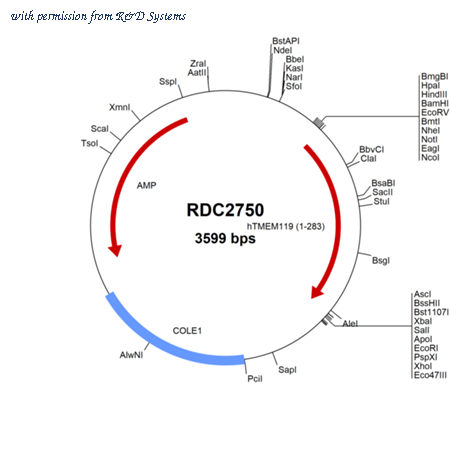 R&D Systems RDC2750 image 1