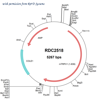 R&D Systems RDC2518 image 1