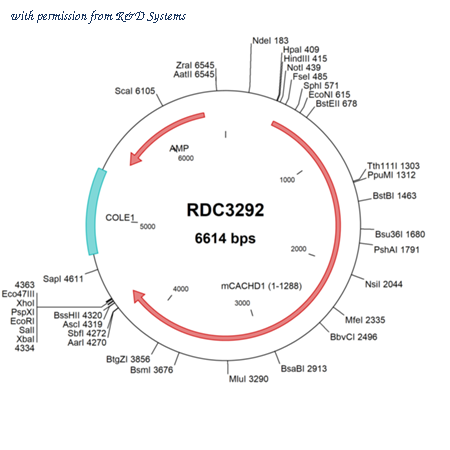 R&D Systems RDC3292 image 1