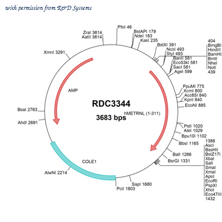 R&D Systems RDC3344 image 1