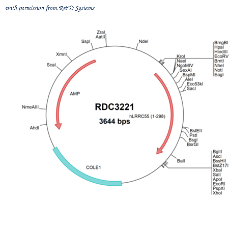 R&D Systems RDC3221 image 1
