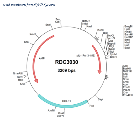 R&D Systems RDC3030 image 1