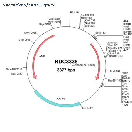 R&D Systems RDC3338 image 1