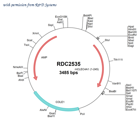 R&D Systems RDC2535 image 1