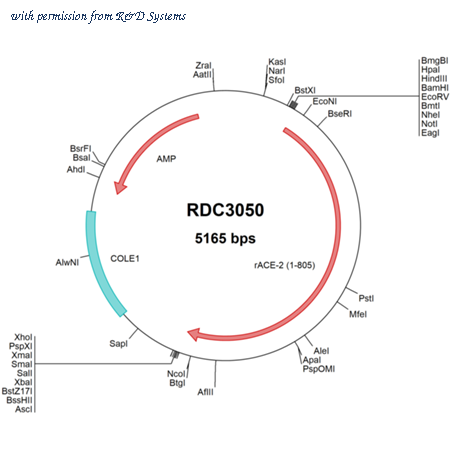 R&D Systems RDC3050 image 1