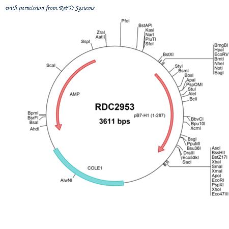 R&D Systems RDC2953 image 1
