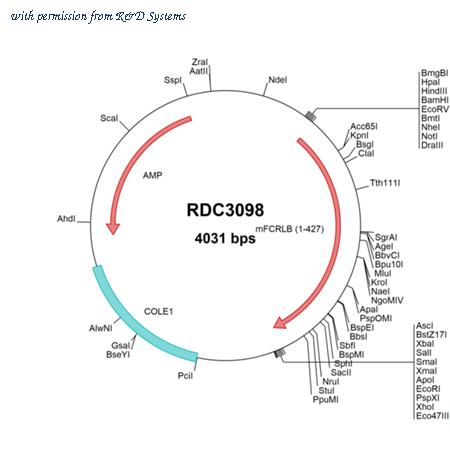 R&D Systems RDC3098 image 1