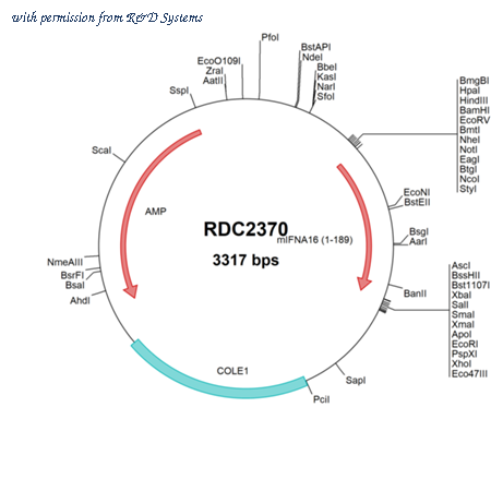 R&D Systems RDC2370 image 1